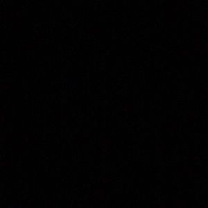 Meet your Posher, Benigno